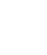 Agent Audit